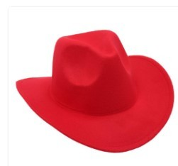 Reba Cowboy hat