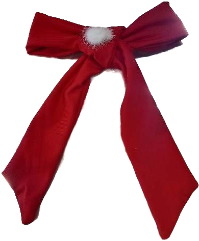 Winter wonderland hooded cape