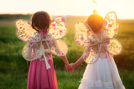 Embroidered Fairy Wings