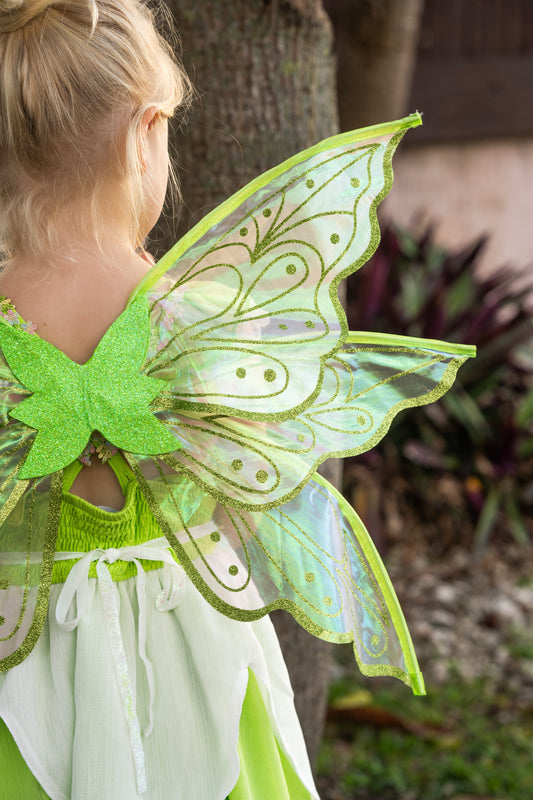 Glitter Fairy Wings
