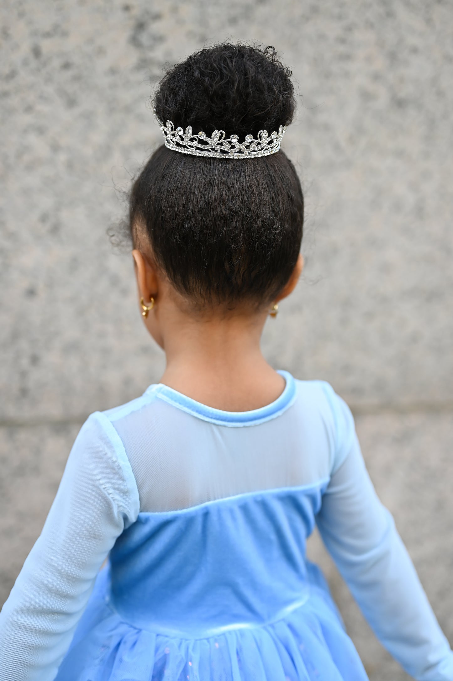 Cinderella crown
