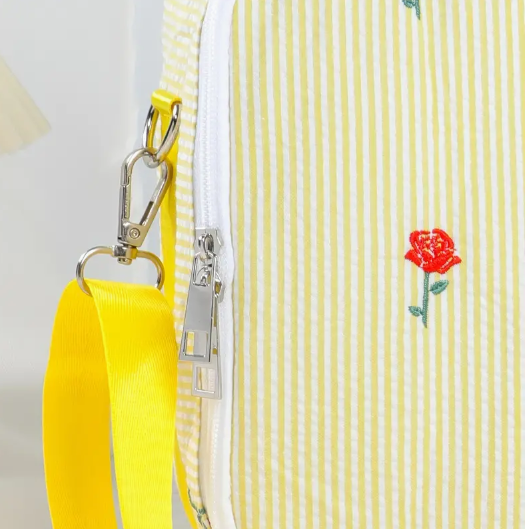 Princess Backpack and lunch bag