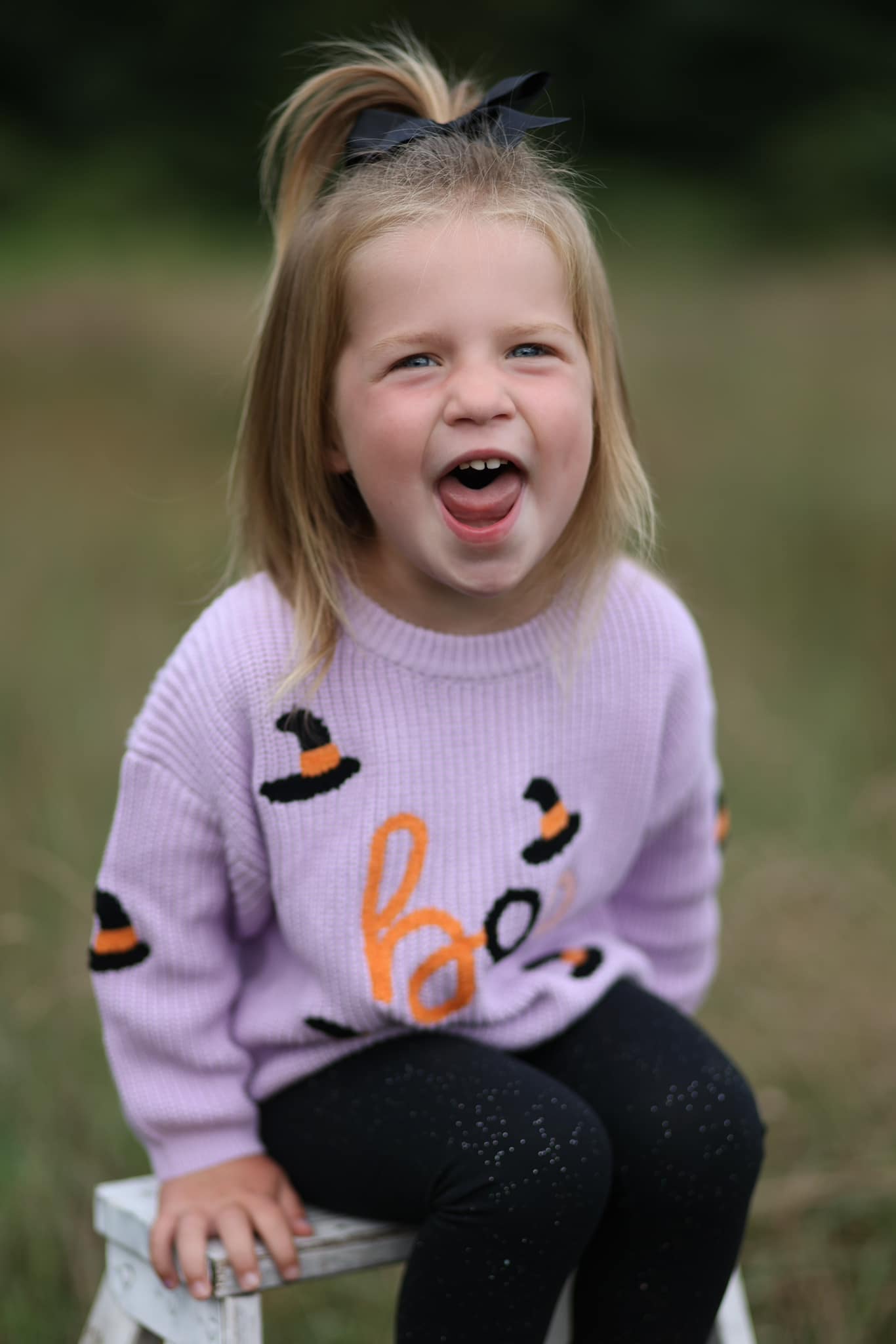 Halloween and fall embroidered sweaters