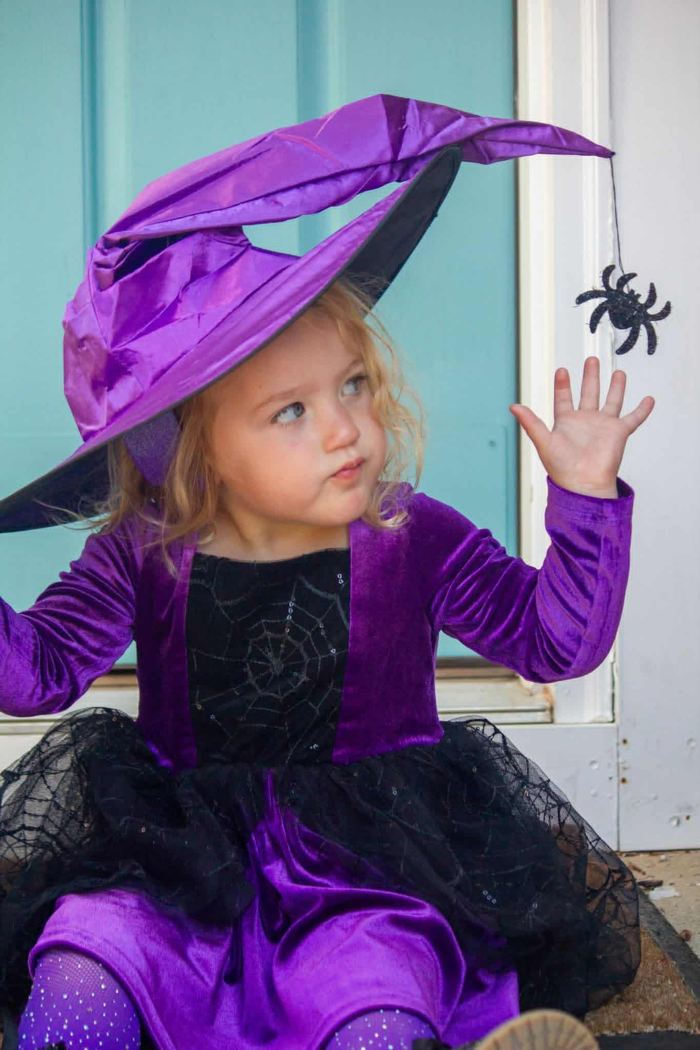 Purple spider witch hat
