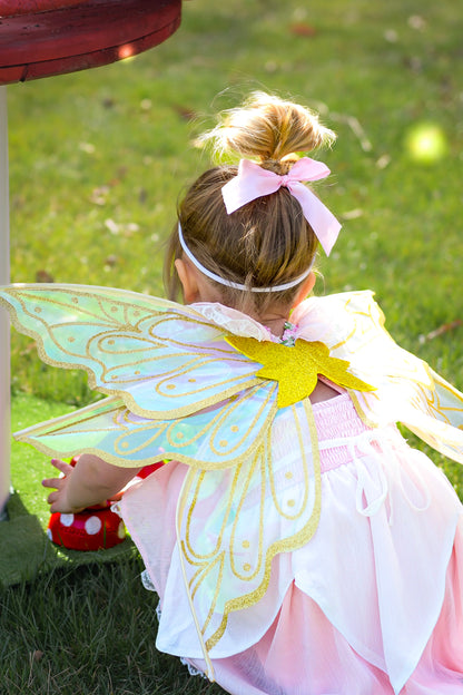 Glitter Fairy Wings