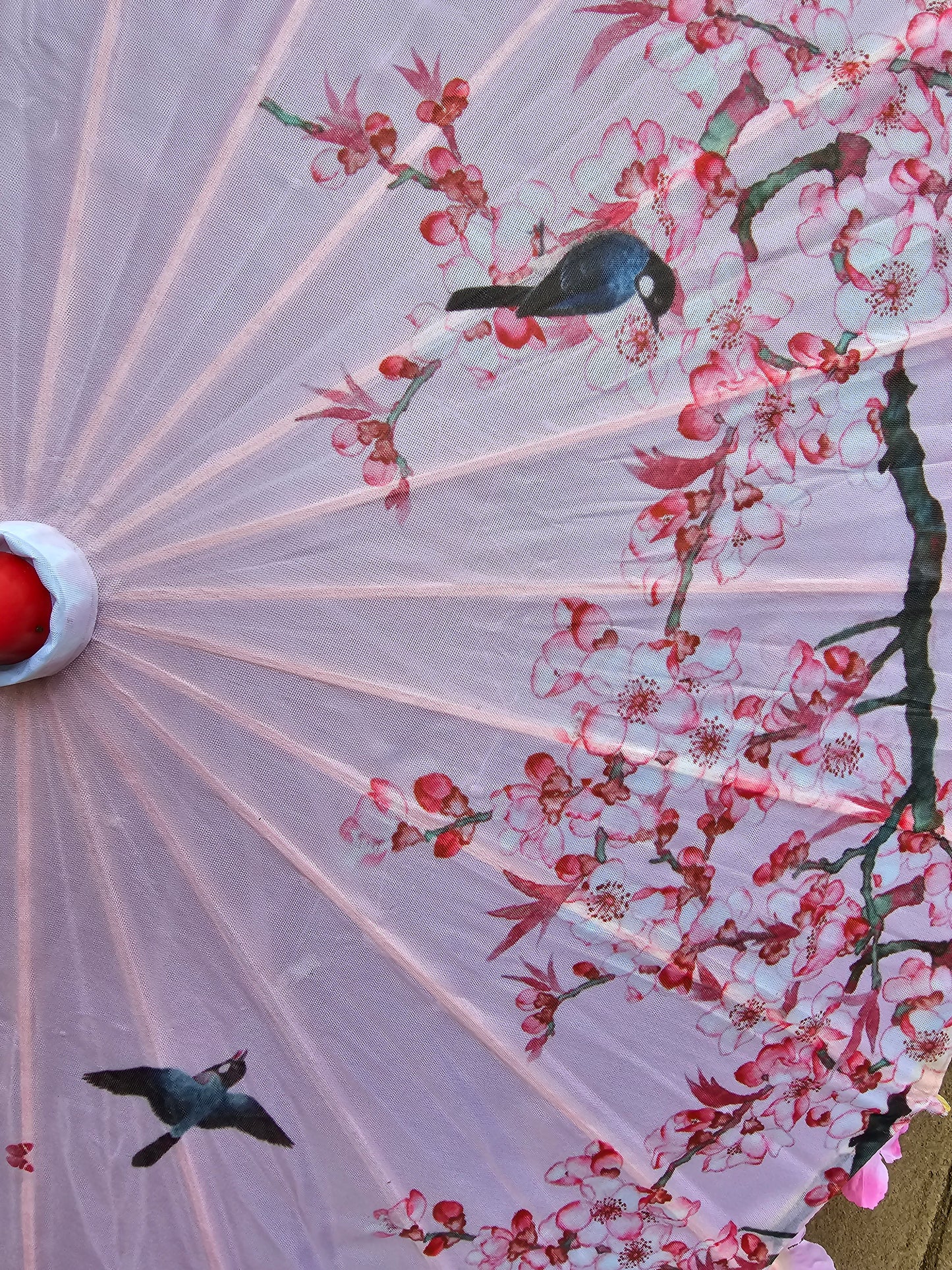 Cherry blossom parasol