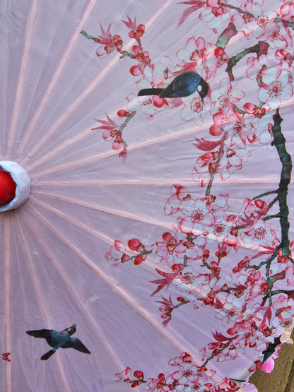 Cherry blossom parasol