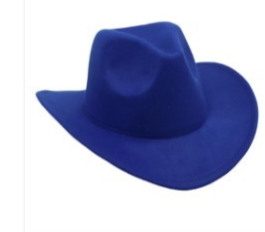 Reba Cowboy hat