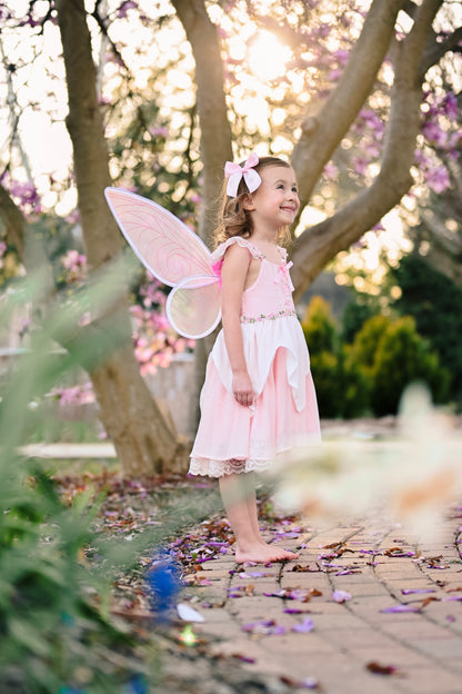 Fairy Wings