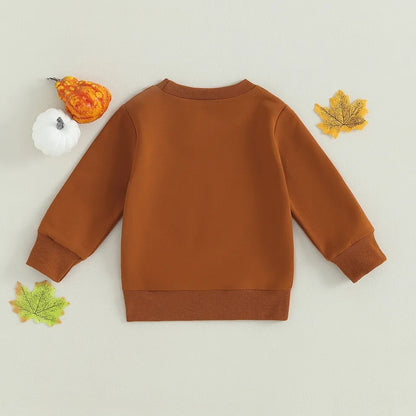 Apple pickin, pumpkin patch fall long sleeve shirts