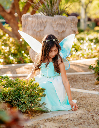 Fairy Wings