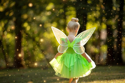 Fairy Wings