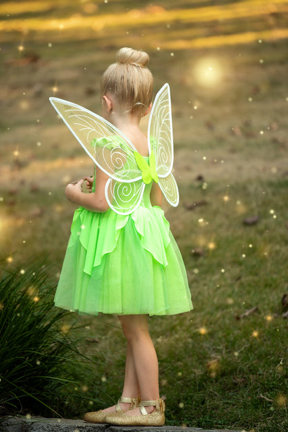 Fairy Wings