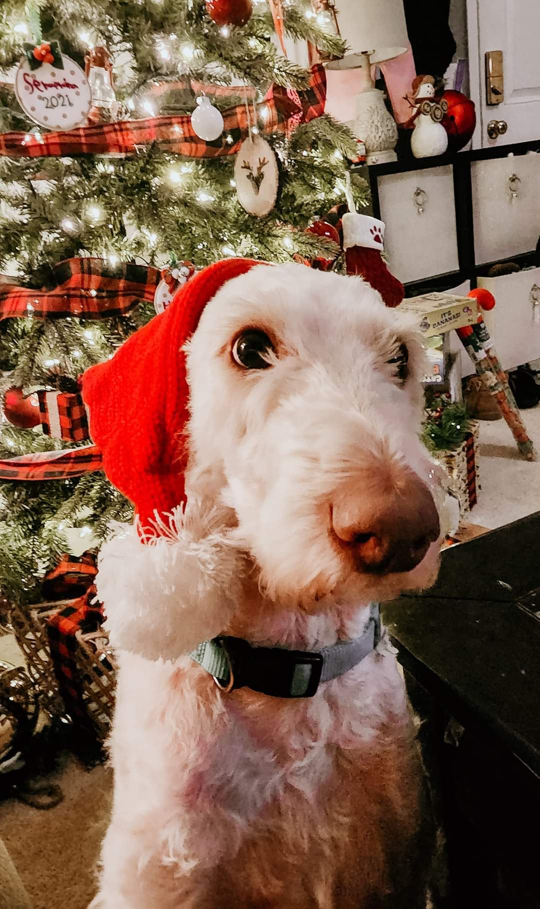 Knit Santa hat - family match