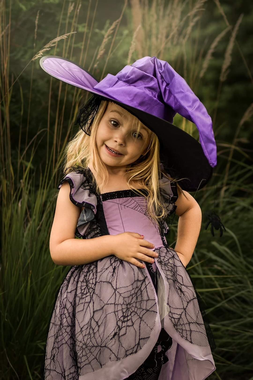 Purple spider witch hat