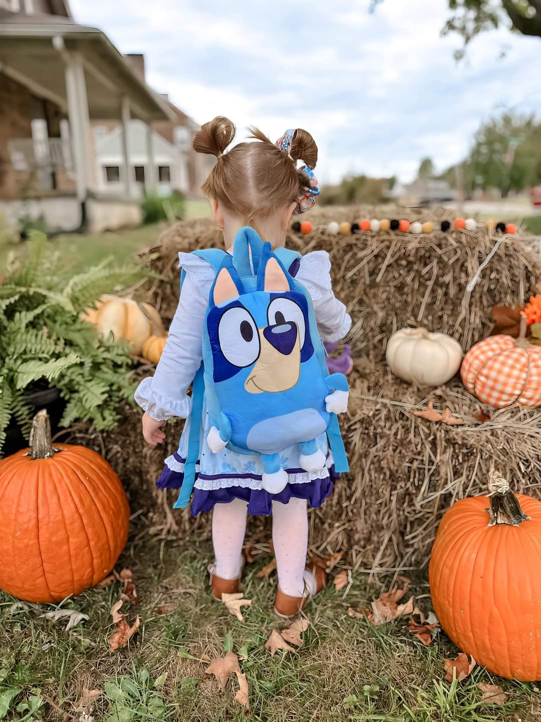 Dog & friends backpack