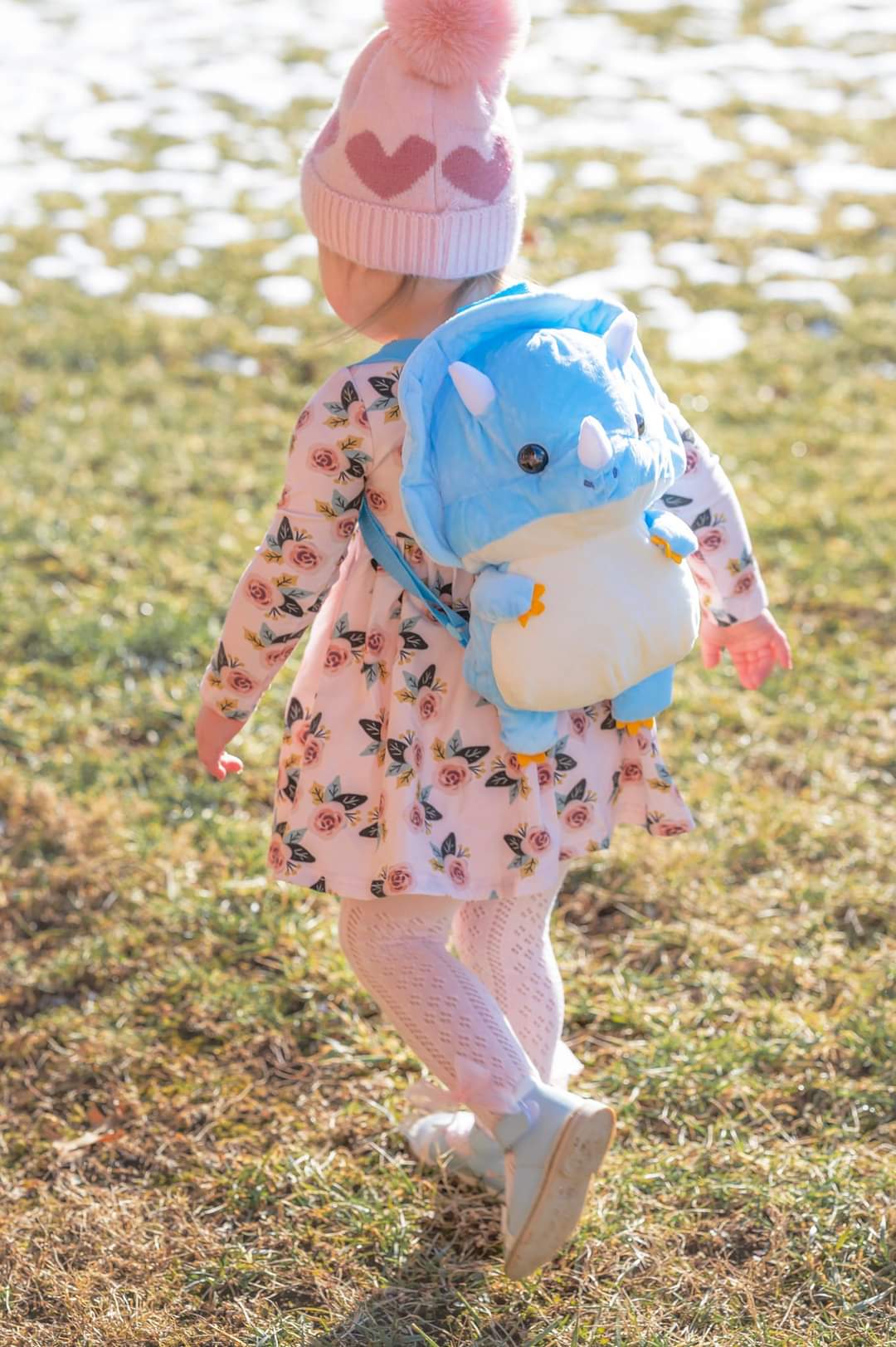 Dinosaur backpack