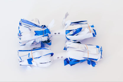 DCC cheerleader holographic pom poms