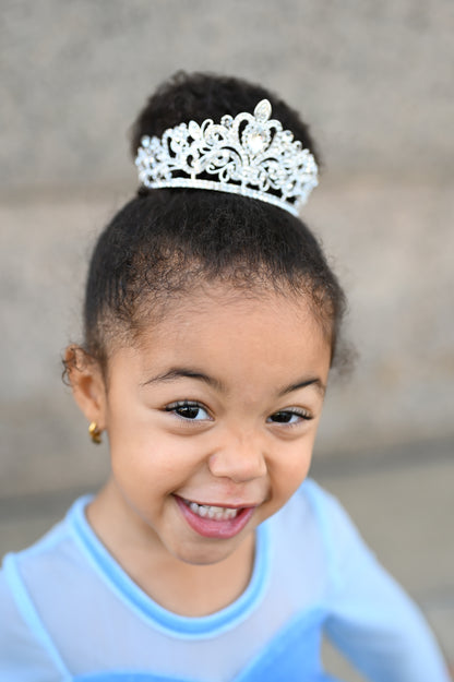 Cinderella crown
