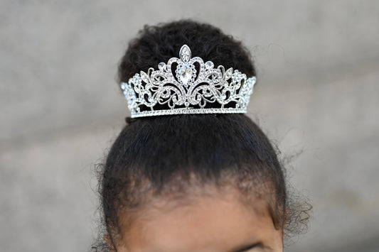 Cinderella crown