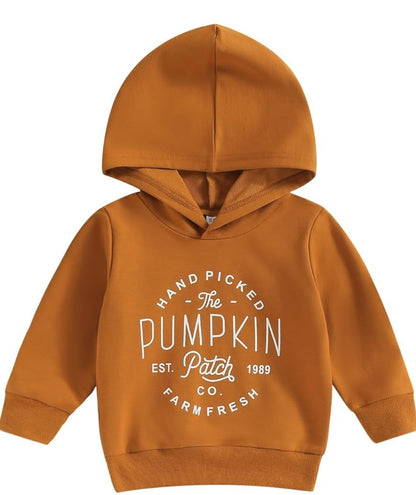 Apple pickin, pumpkin patch fall long sleeve shirts
