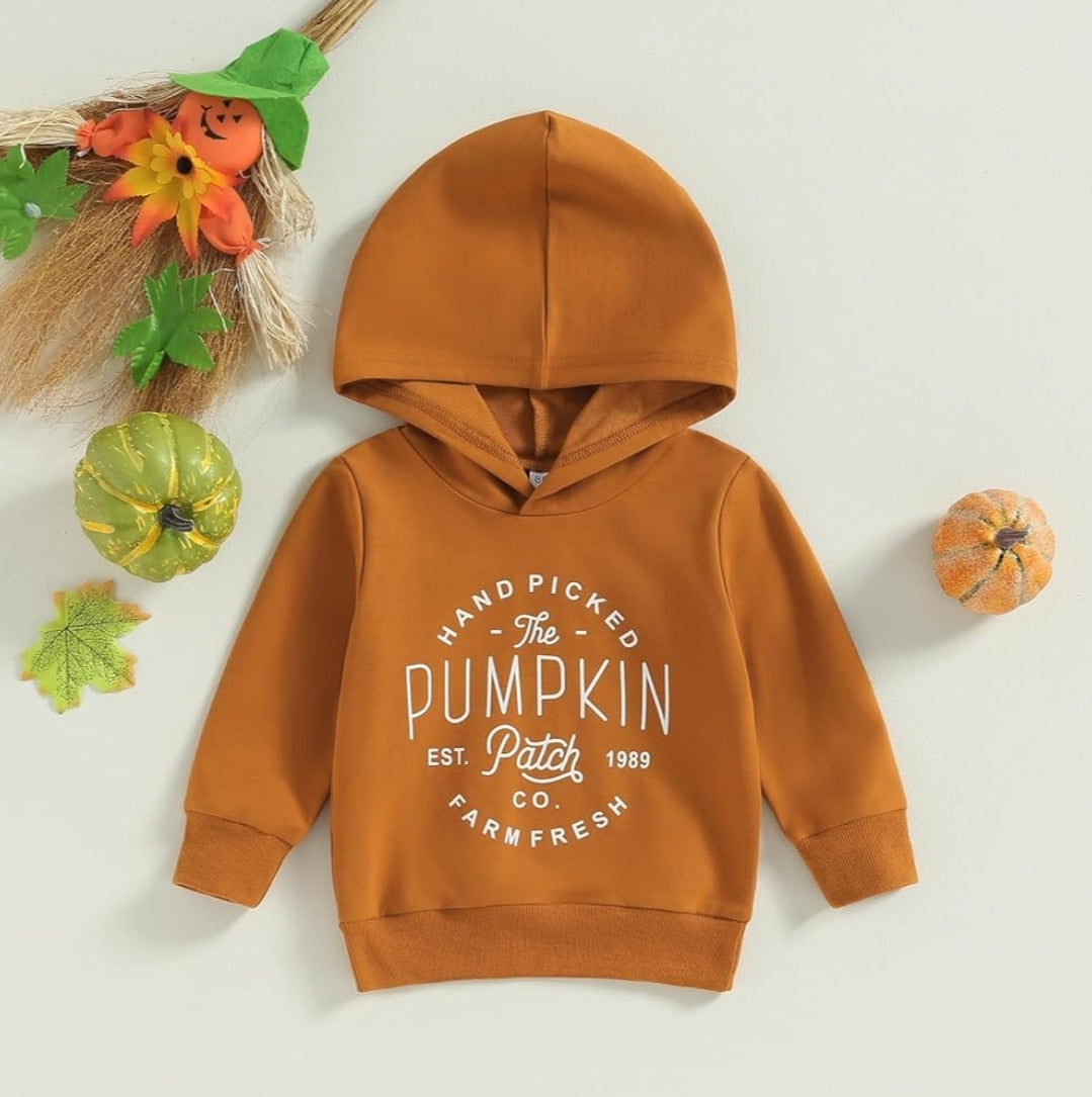 Apple pickin, pumpkin patch fall long sleeve shirts