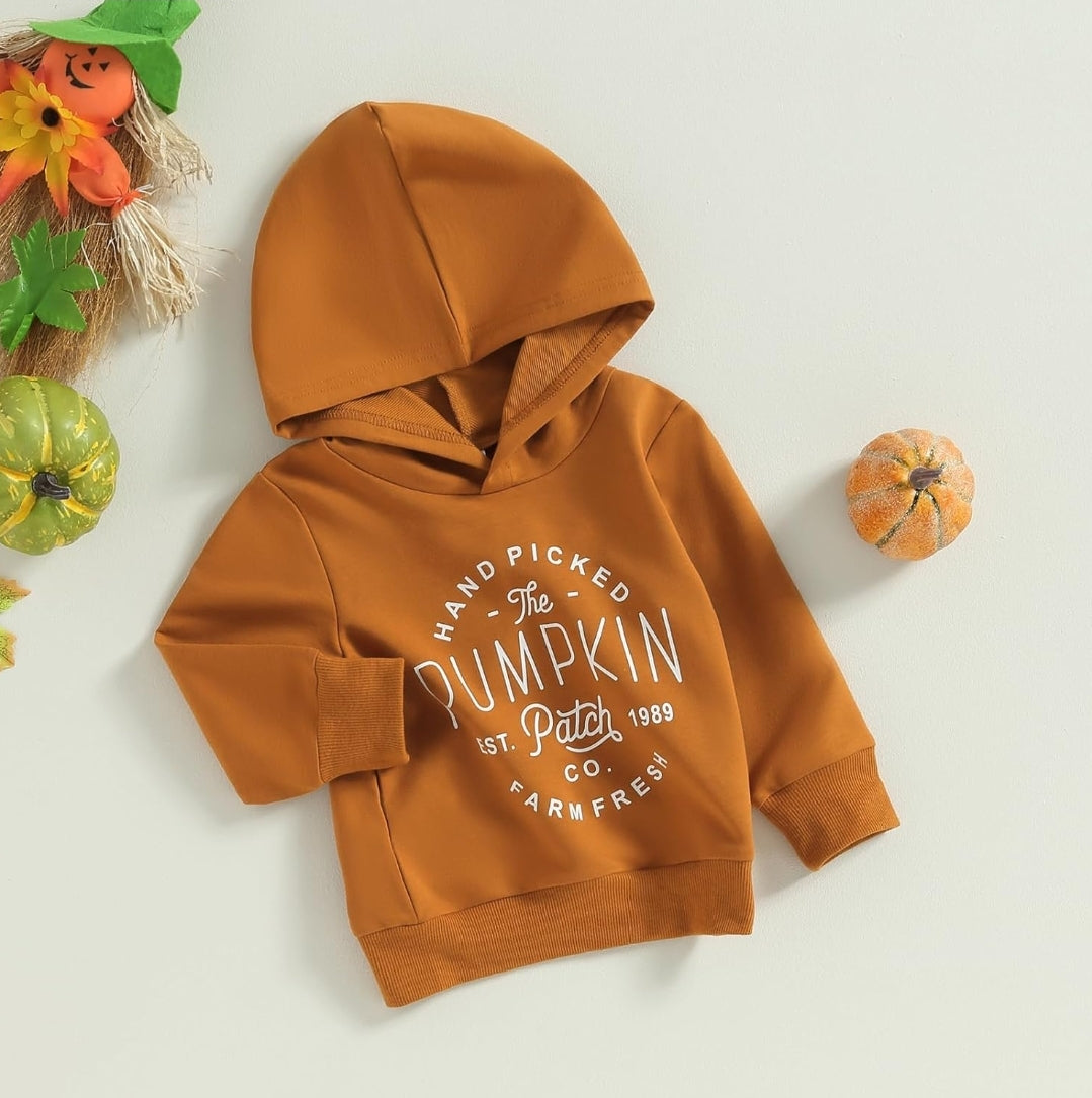 Apple pickin, pumpkin patch fall long sleeve shirts