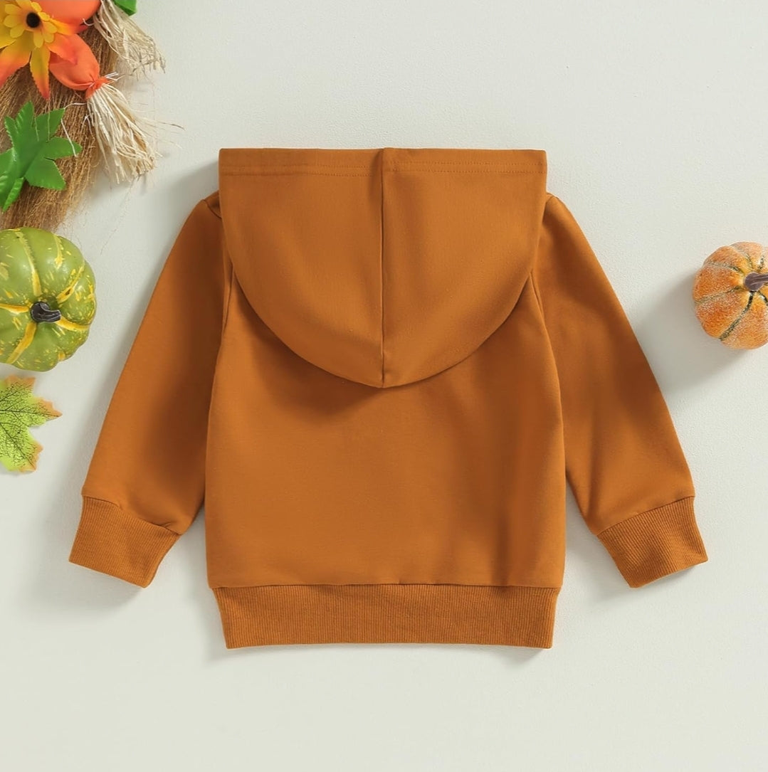 Apple pickin, pumpkin patch fall long sleeve shirts