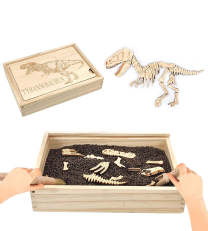 Dino Dig excavation kit