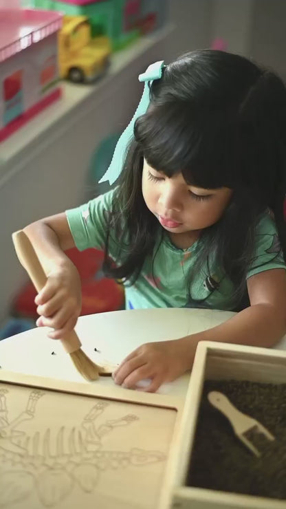 Dino Dig excavation kit