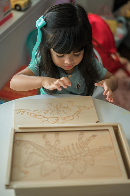 Dino Dig excavation kit