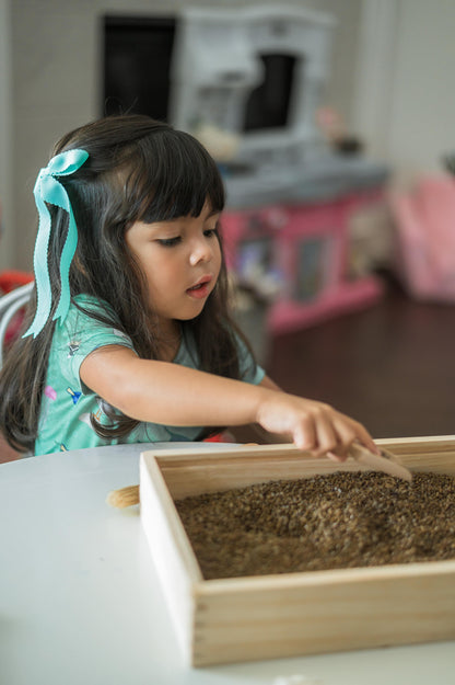 Dino Dig excavation kit