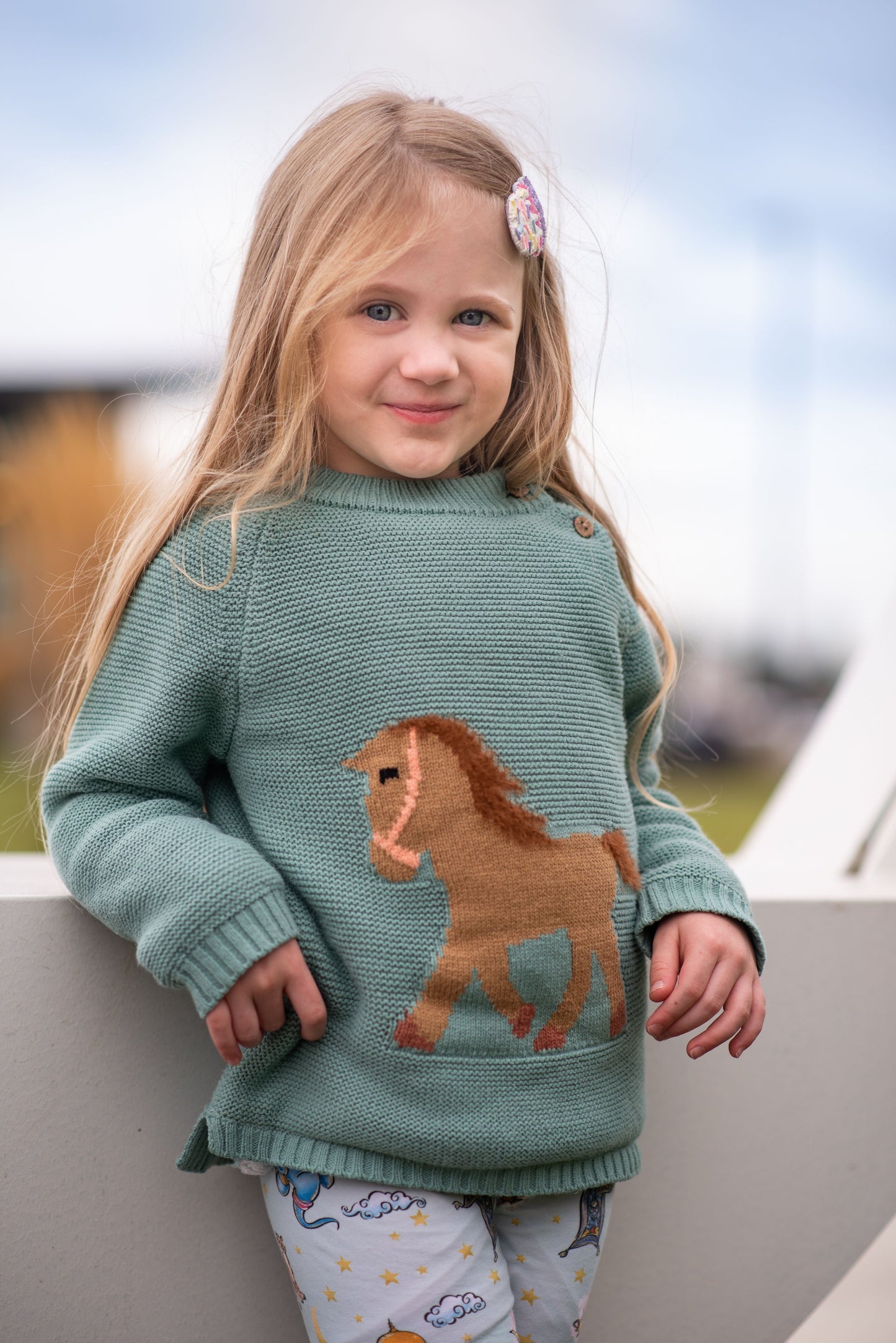 Horse Sweater - fleece lined