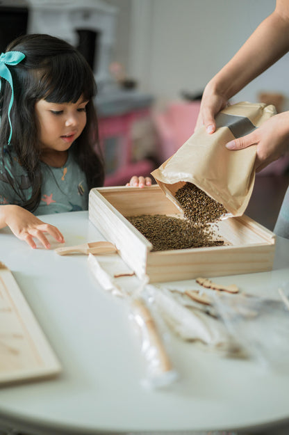 Dino Dig excavation kit
