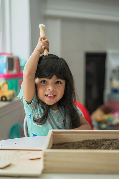 Dino Dig excavation kit