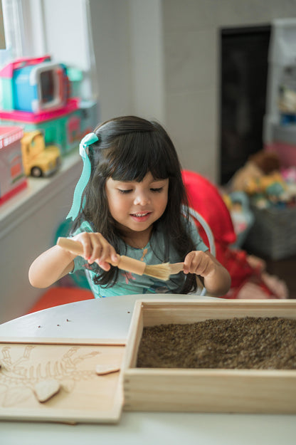 Dino Dig excavation kit