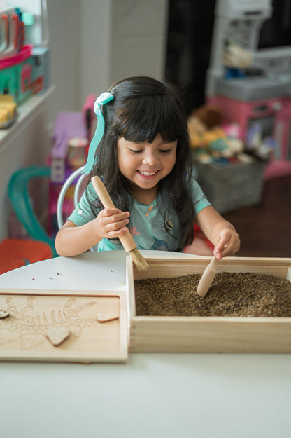 Dino Dig excavation kit