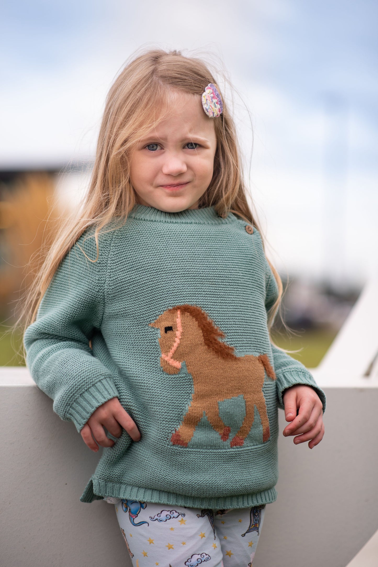 Horse Sweater - fleece lined